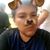 Alfonso Pineda's profile image