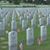 Shelly R Hill's profile image