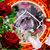 Vince Castellano's profile image