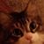 Donna Jean's profile image
