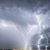 Susan Taylor Holliday's profile image