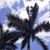 Kristin Fee's profile image