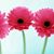 Patricia Nelson-Taylor's profile image