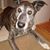 Wendy Brown's profile image