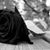 Jorge Villanueva Alvarez's profile image
