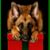 Nancy Campbell's profile image