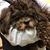 Vianne French Marchese's profile image