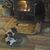 Faith Hohstadt's profile image