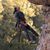 Zoe Spiliadis's profile image