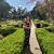 Alina Bunduc's profile image