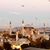 Massimiliano Scacchi's profile image