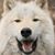 Diane Kay's profile image