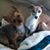 Debra Russo's profile image