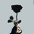CJ Kim's profile image