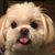 Judi Mueller's profile image