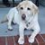 Gail Posvic's profile image