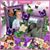 Dale N Lavonda Beeson's profile image