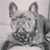 Nicole Peskin Reagan's profile image