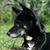 Gayle Person's profile image
