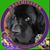 Tara Kelley-Bertrand's profile image