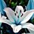 Misty Thompson Murphy's profile image