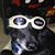 Lori Lee's profile image