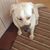Deb Donnelly-Poulin's profile image