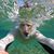 Bill Prouty's profile image