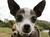 martina b.'s profile image