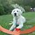 Mike Beaufort's profile image