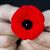 Shirine Hutchinson's profile image