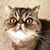 Penny Juliet's profile image