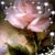 Anisha Johnson's profile image