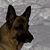 Linda Frattura's profile image