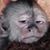 Mikka AndthePineapples's profile image