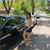 Tobar Dery's profile image