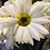 Jacqueline Robinson's profile image