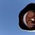 David Stellman's profile image