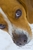 Jason B.'s profile image