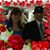 Amy Ross Gulick's profile image