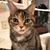 Leisha Heathcote's profile image