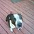Susan Bonard Bygrave's profile image