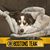 Peter Duchnowski's profile image