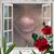 Chey Alamo's profile image