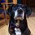 Kathy Janz's profile image