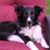 Ellie Mae's profile image