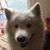 John Hunnicutt's profile image