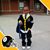 Tommie Gunns's profile image