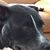Cath Erine's profile image