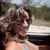Suzie Bojarski's profile image